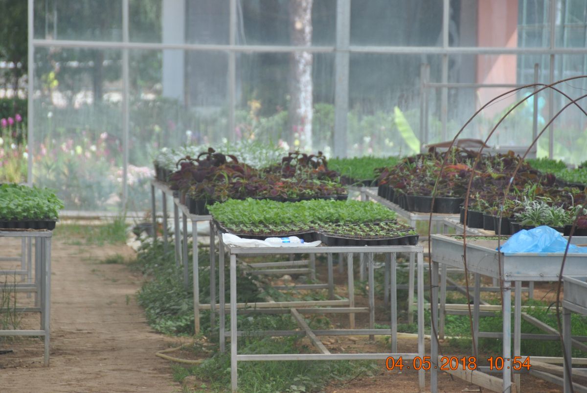 imagini hotel CLUB MEGASARAY BELEK